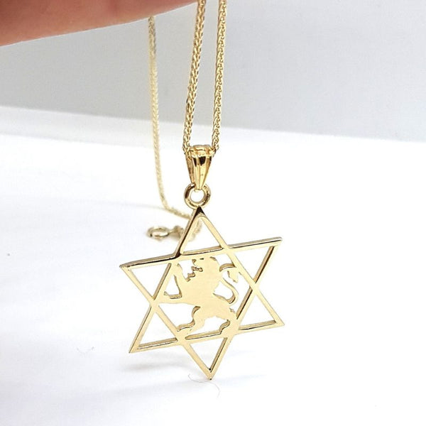 Star of david on sale lion of judah pendant