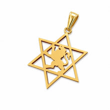  14k gold Star of David necklace with lion symbol high polish jewish jewelry