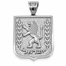 Polished silver Lion of Judah pendant with olive branches, Hebrew Israel inscription and Star of David bail