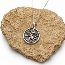 Silver lion pendant necklace on a rock