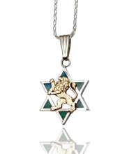Eilat stone star of David Lion pendant 
