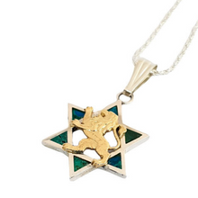 Eilat stone star of David Lion pendant 