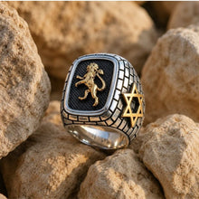 Silver ring with lion and Star of David design on a rocky background