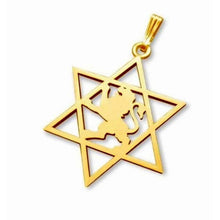 14k Gold Star of David Lion of Judah Pendant 