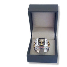 925 Silver Gold Star of David Menorah Ring, Lion Ring inside box 