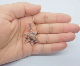 925 Silver Lion Star of David Pendant