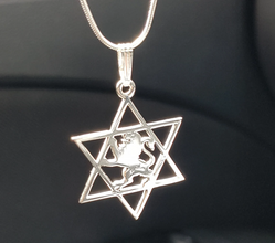 925 Silver Lion Star of David Pendant