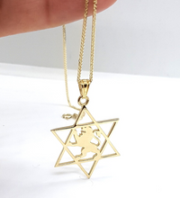 14k Gold Lion Star of David Pendant
