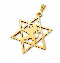 14k Gold Lion Star of David Pendant