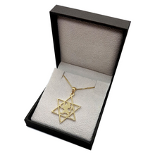 14k Gold Lion Star of David Pendant